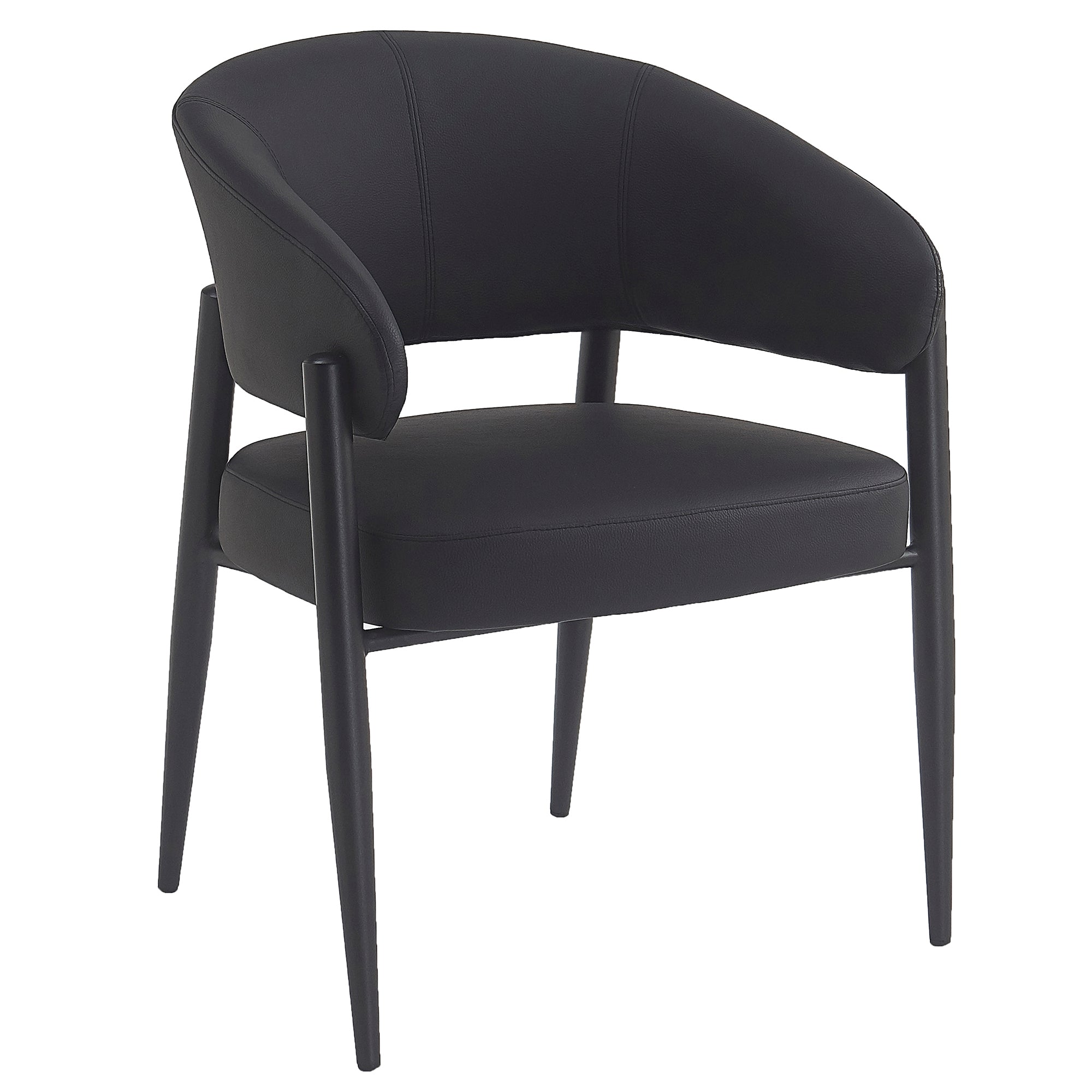 Bronson Dining Chair, Set Of 2