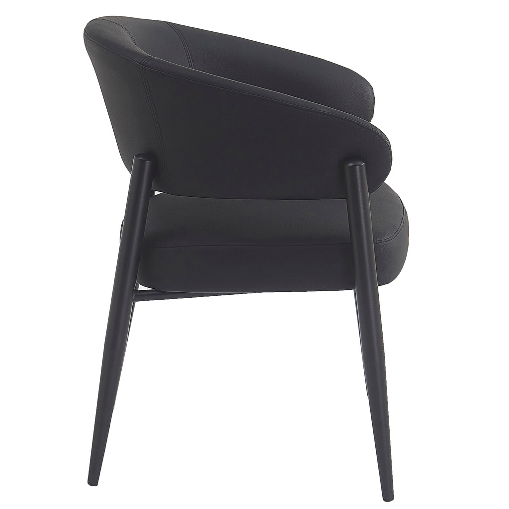 Bronson Dining Chair, Set Of 2