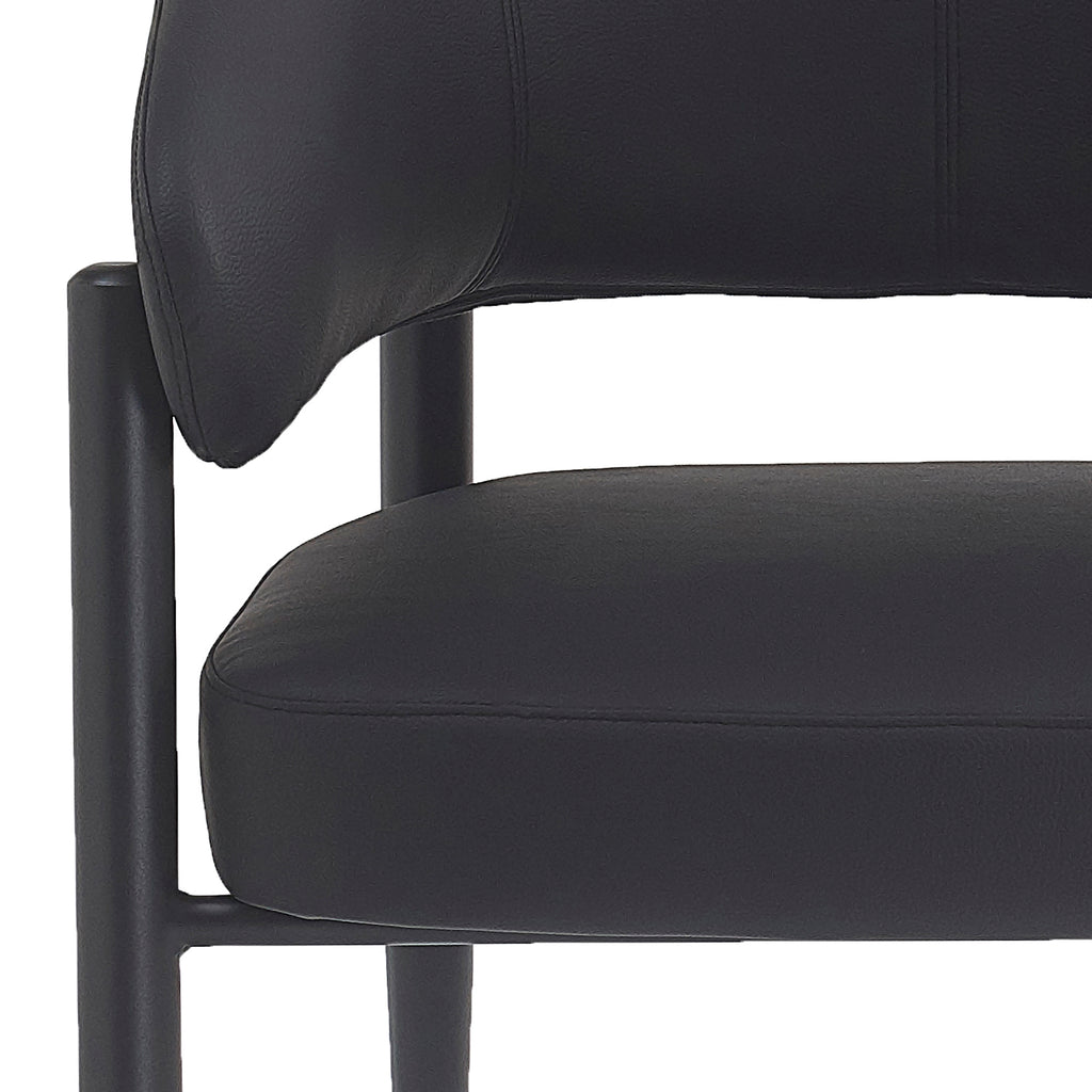Bronson Dining Chair, Set Of 2