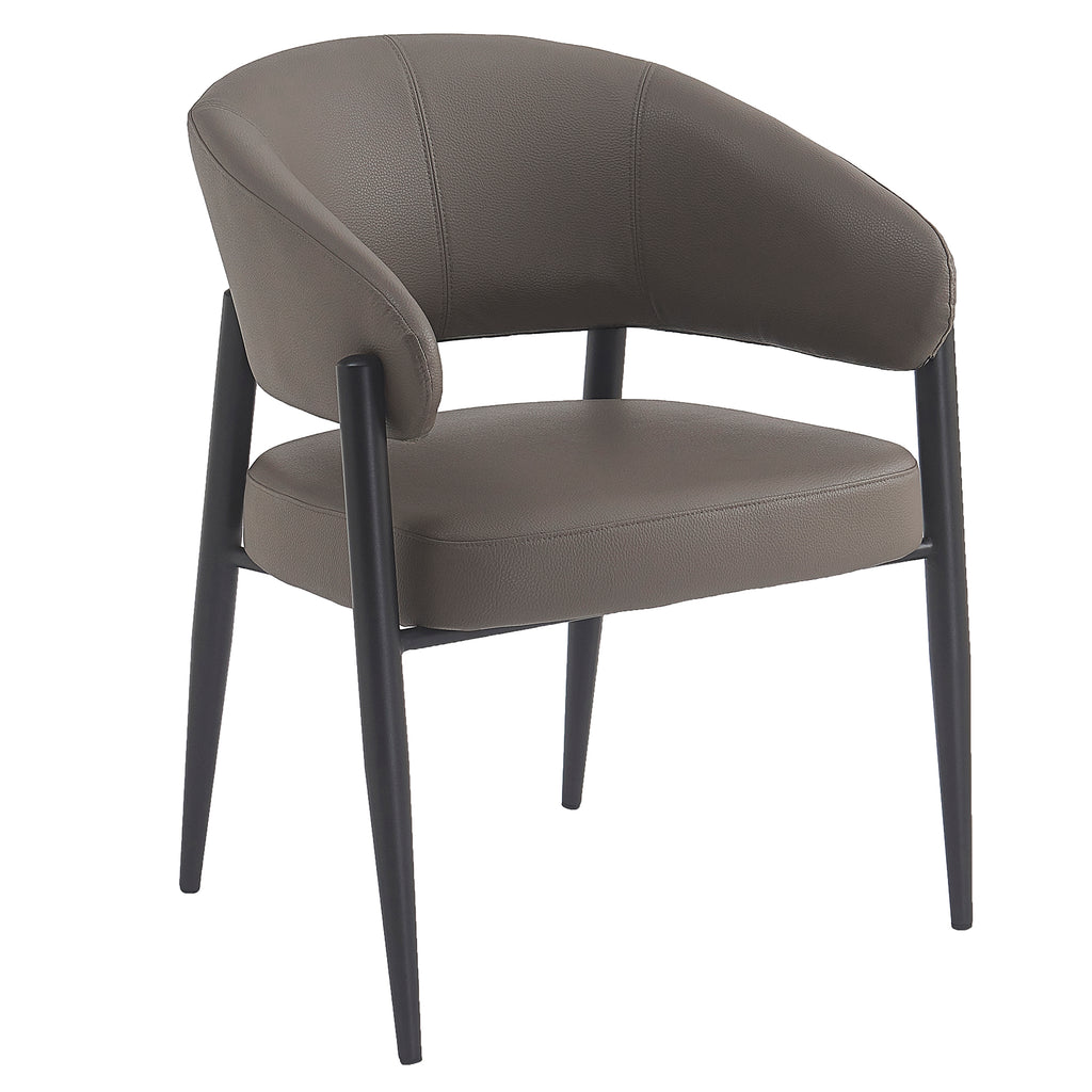 Bronson Dining Chair, Set Of 2