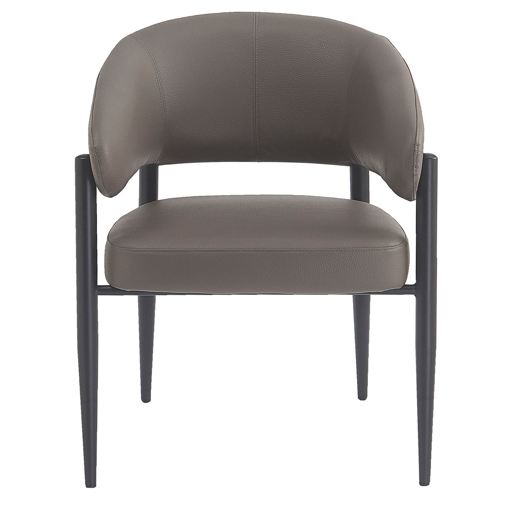 Bronson Dining Chair, Set Of 2