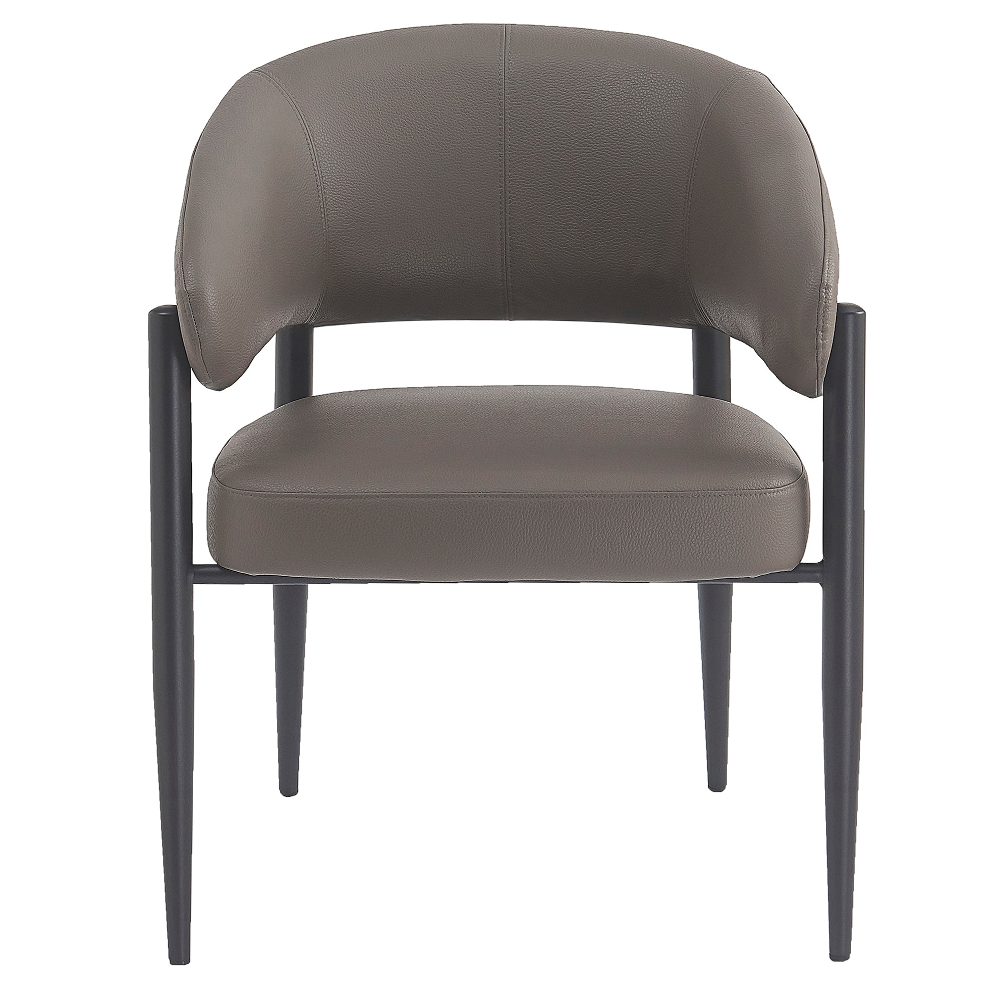 Bronson Dining Chair, Set Of 2