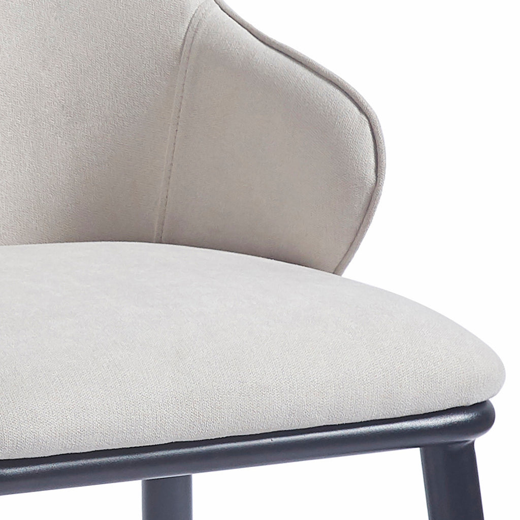 Kash Dining Chair, Fabric, Set Of 2