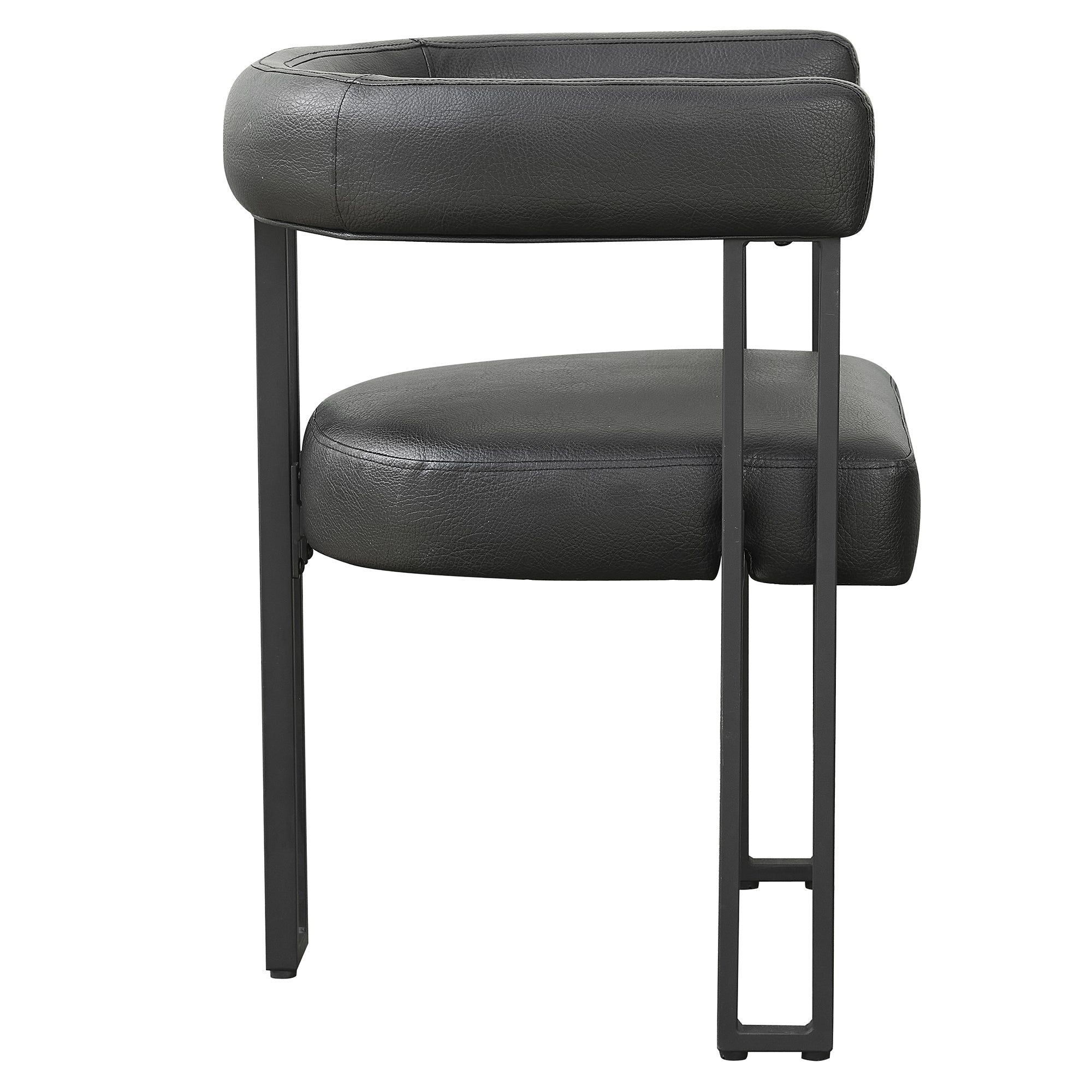 Scarlet Dining Chair, Set Of 2