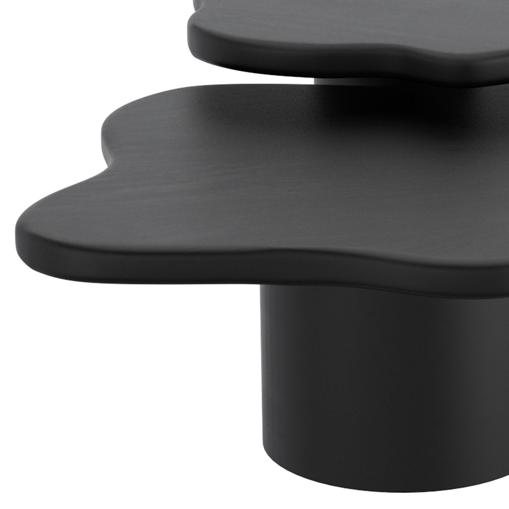 Mayal Large Coffee Table