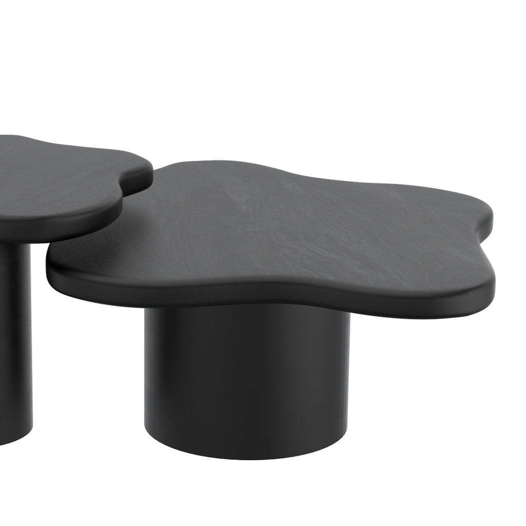 Mayal Large Coffee Table