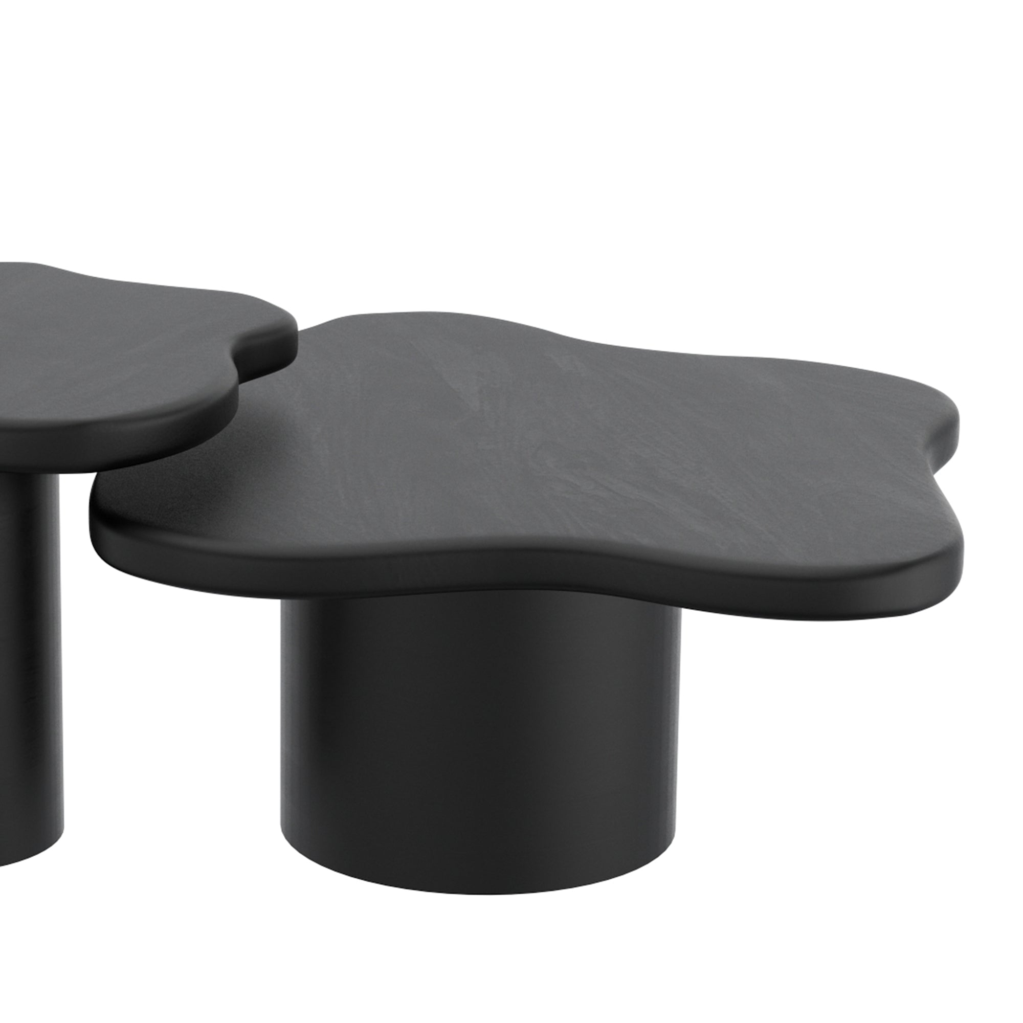 Mayal Large Coffee Table