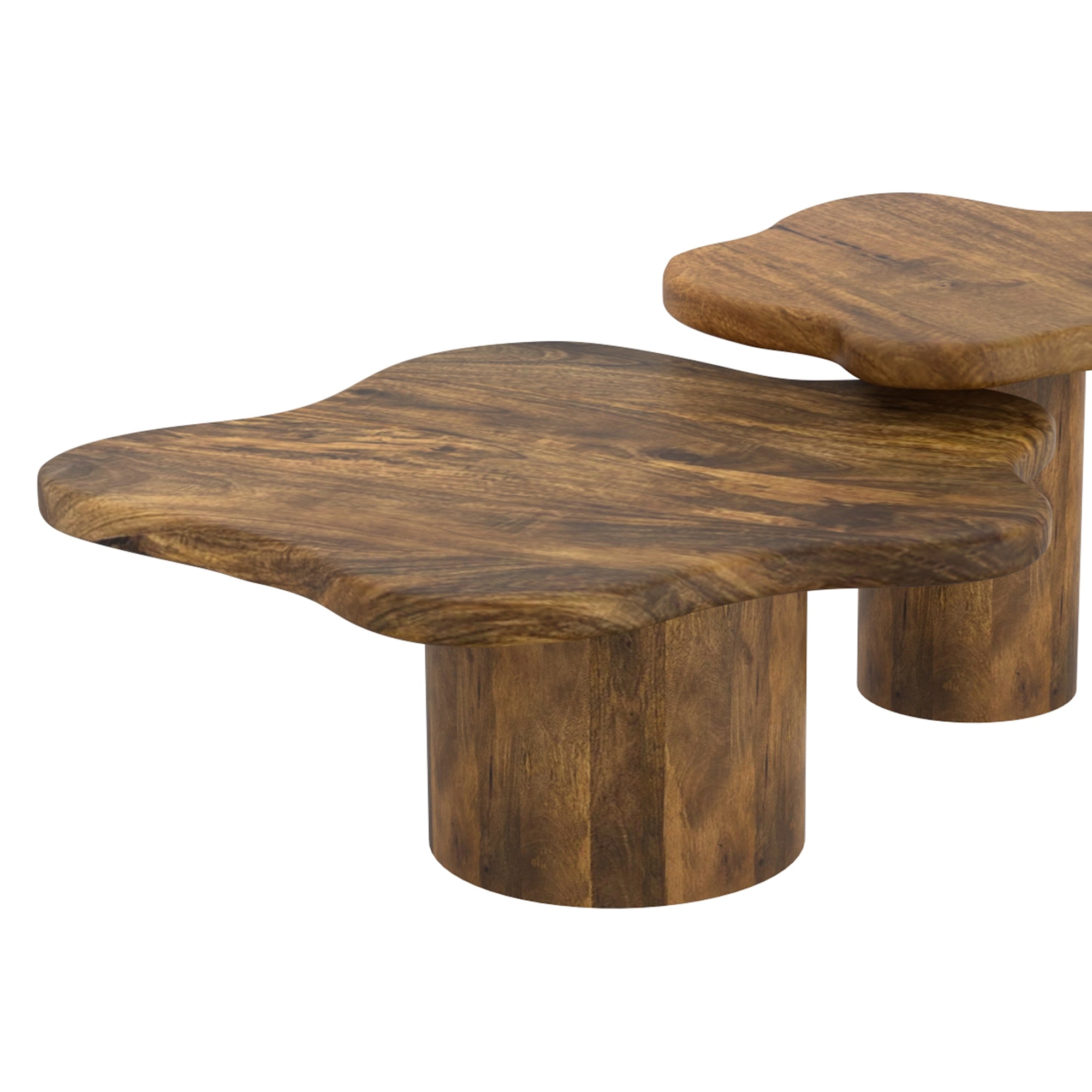 Mayal Large Coffee Table