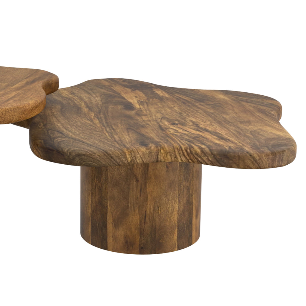 Mayal Large Coffee Table